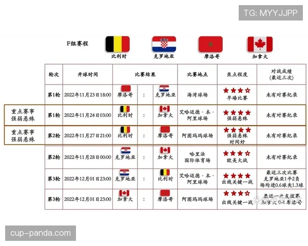 卡塔尔进入世界杯B组，出线形势全面解析
