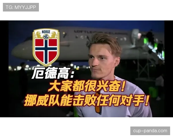 厄德高掌控中场，挪威队为何能在本届世界杯走红